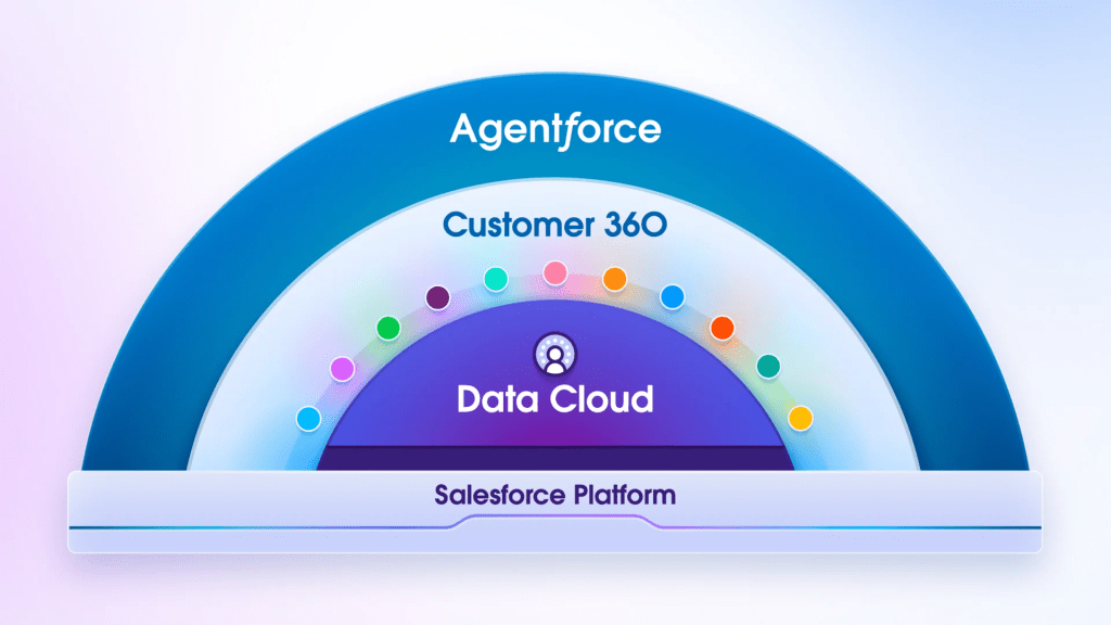 Salesforce Plattform Eine Infografik zur Salesforce Plattform.